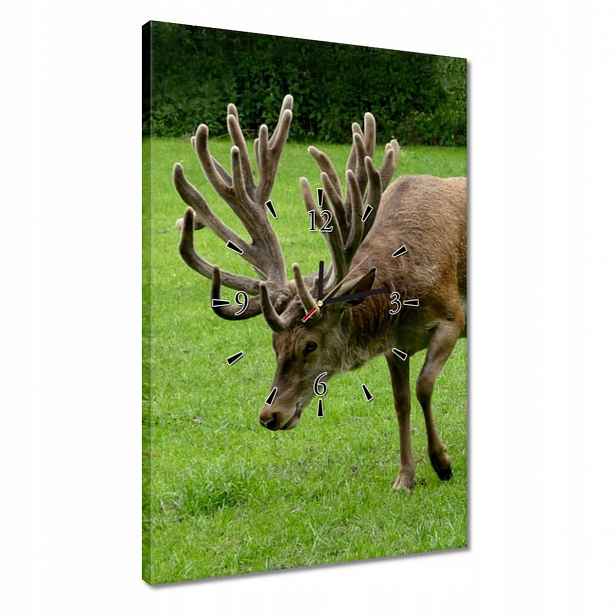 Hodiny 40x60 Jelen Paroháč