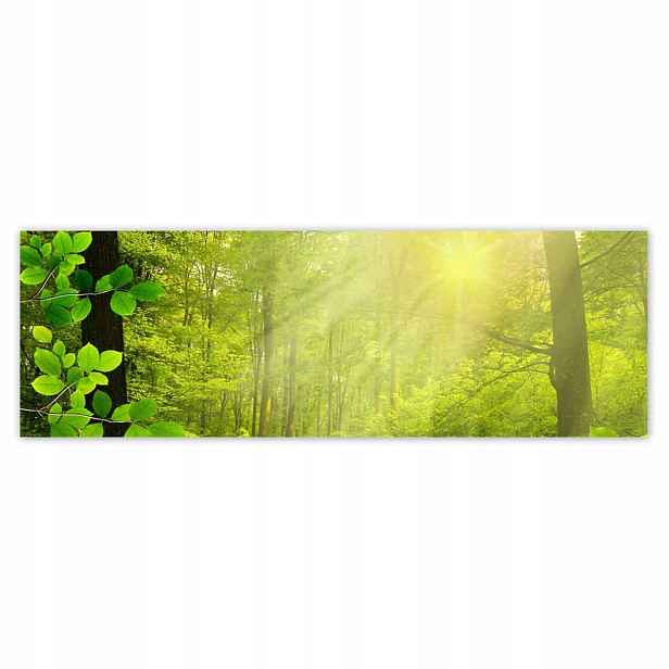 Plakáty 200x66 Kouzelný les Krajina