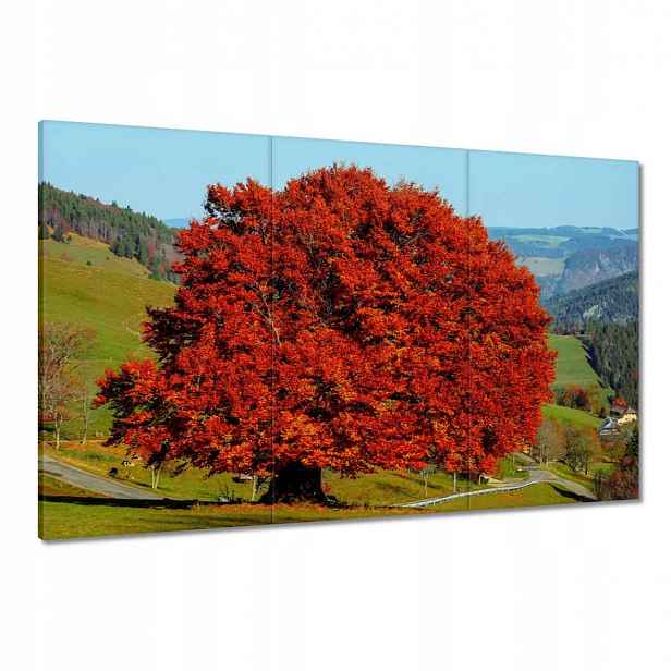 Obrazy 120x80 Červený osamělý strom