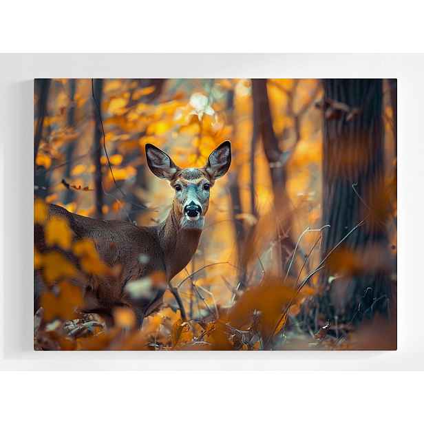 Plakát Zvíře Srnčí Les Příroda Podzim 100x75