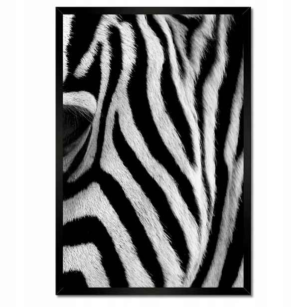 Plakáty v rámu 40x60 Černobílé pruhy Zebra