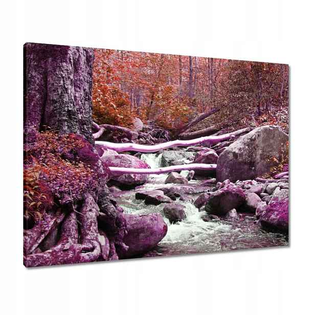 Obrazy 80x60 Fialová kaskáda
