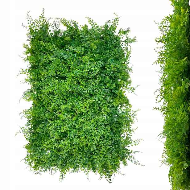 Zelená Stěna Panel S Rostlinami Z Mechu Vertikální Zahrada Filodendron Túje