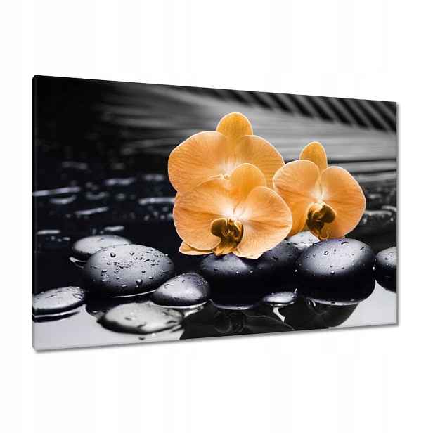 Obrazy 120x80 Oranžové orchideje