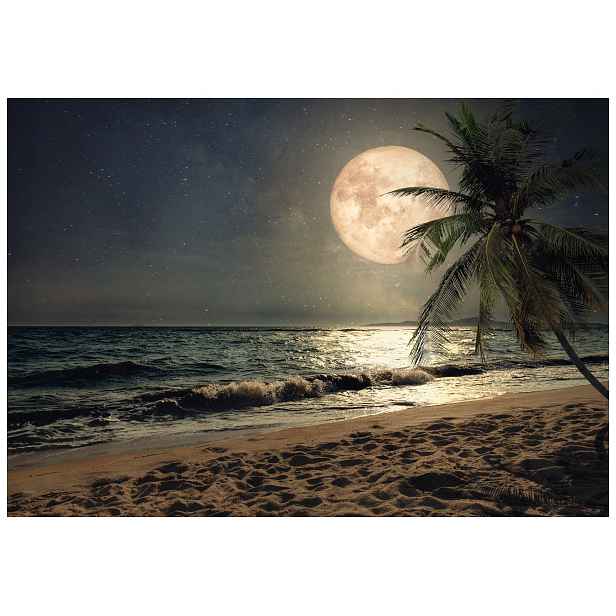 Fototapeta Noční oceán Palmy Romantické hvězdné nebe 250x175 lepidlo