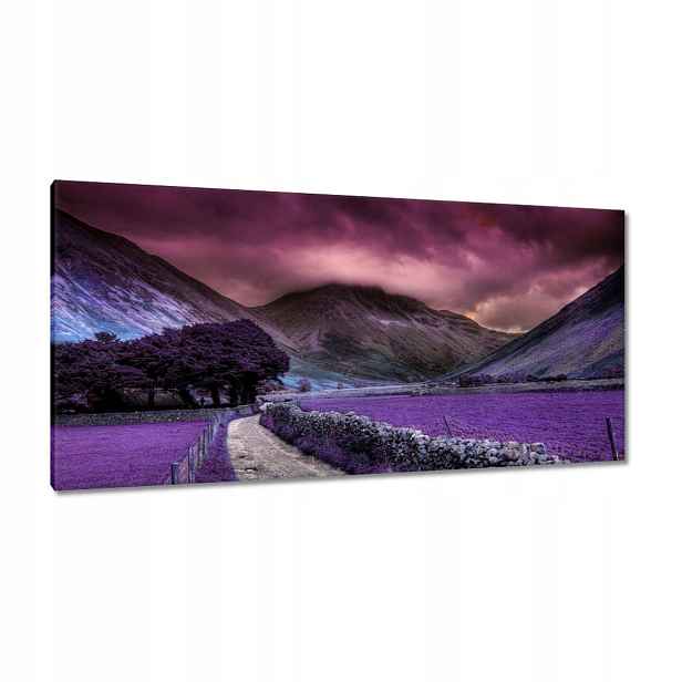 Obrazy 115x55 Fialová krajina