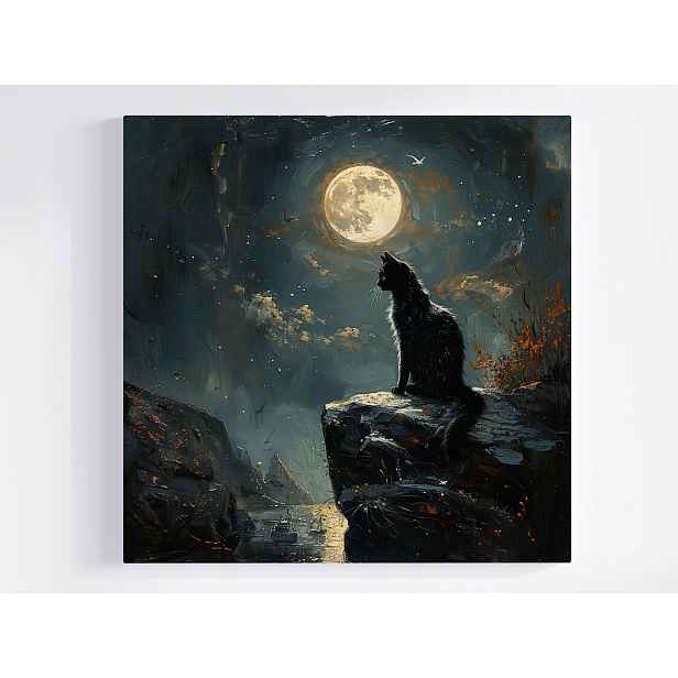 Obraz Na Plátně Canvas Noc Temnota Měsíc Černá Kočka Pozorovatel 50x50