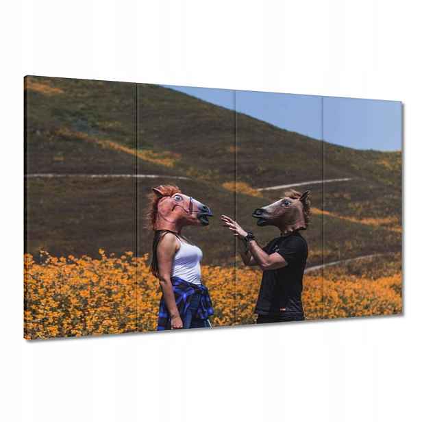 Obrazy 120x80 Kůň Koně Jezdectví