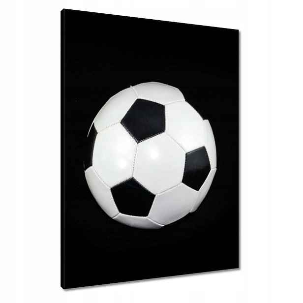 Obrazy 60x80 Fotbal