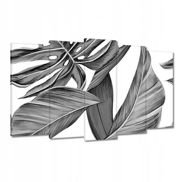 Obrazy 100x60 Monstera v šedé barvě