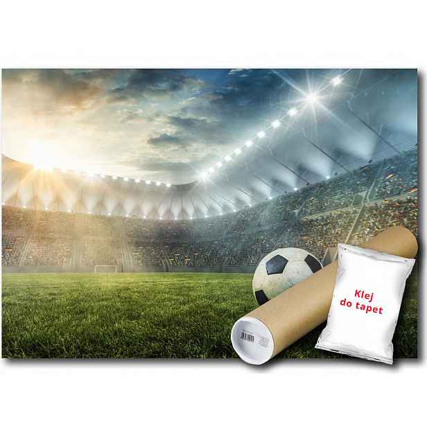 Vinylová fototapeta Fotbalový stadion 416x290