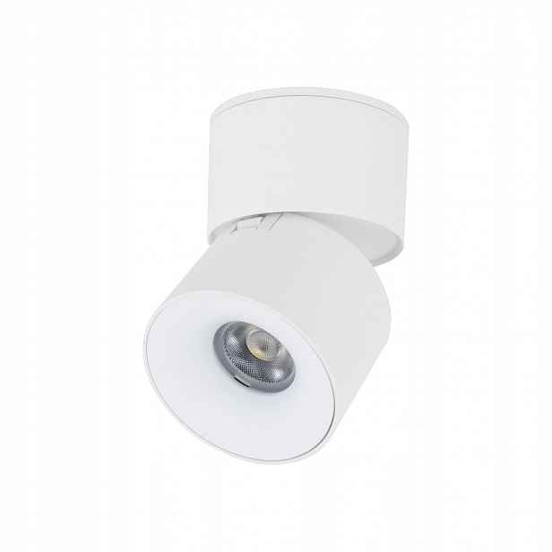 Led reflektor Spot 10W Variabilní barva Pohyblivý hliník Spark Tk Lighting