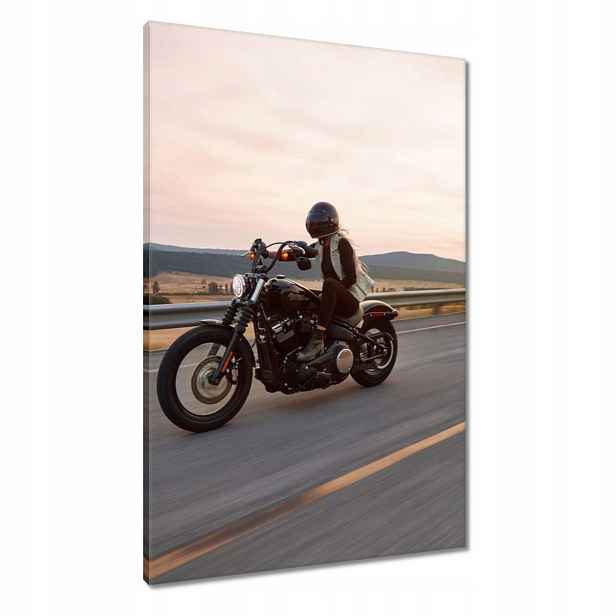 Obrazy 60x90 Harley Davidson Motocykl