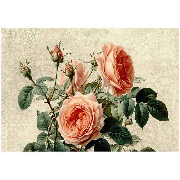 Tapeta Květiny Béžové Růže Vintage Tapeta Do Předsíně Obývacího Pokoje Kanceláře 254x184