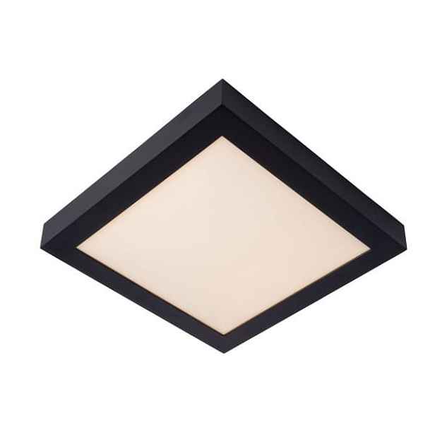 Lucide Stropní Svítidlo Stropní Led 30W 3000K Brice, IP44, černá/bílá