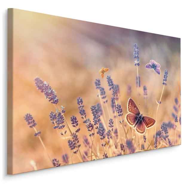 Plátno Motýli A Květy Levandule II. Varianta: 120x80