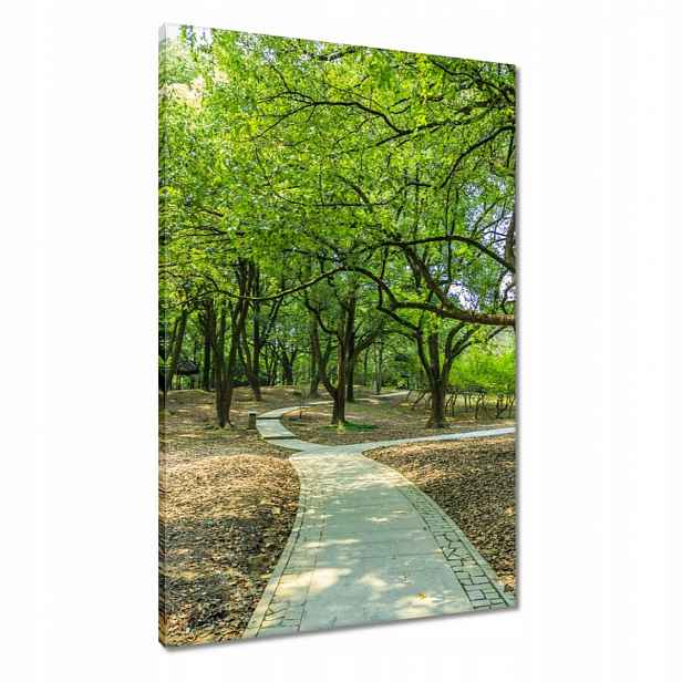 Obrazy 60x90 Zelený park s cestičkou