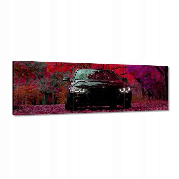 Obrazy 120x40 Černé Bmw Podzim