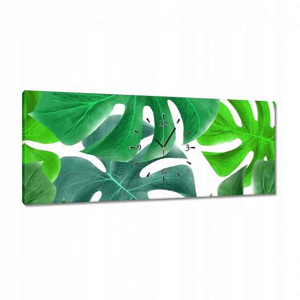 Hodiny 100x40 Listy Monstery Tropiky