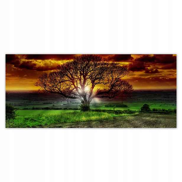 Fototapety flizelina 211x91 Kouzelný strom