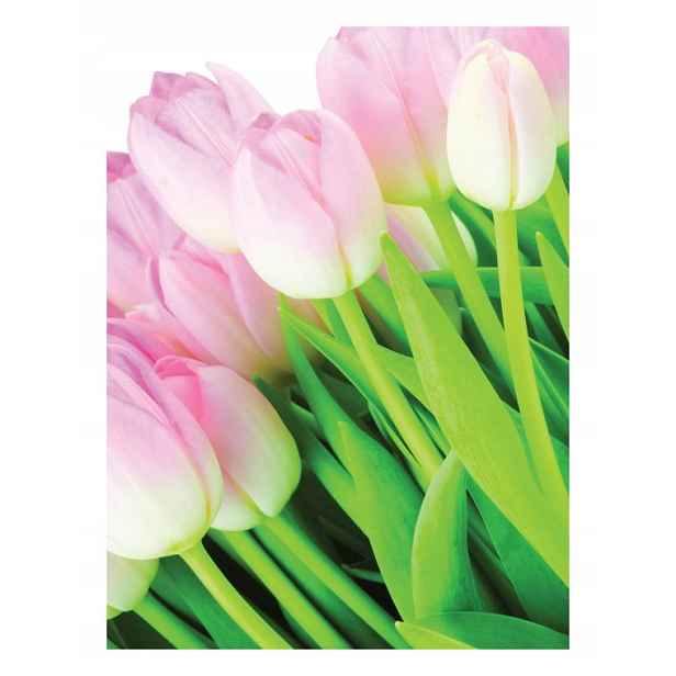 Fototapeta Růžové tulipány, jemnost jara na světlém pozadí 206x275 lepidlo
