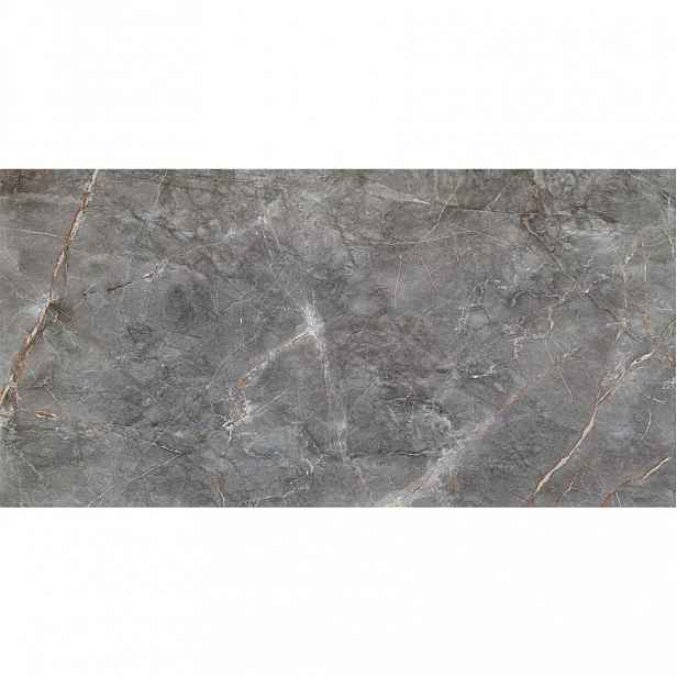 Nástěnný obklad Visine Grey Gloss 59,8/119,8