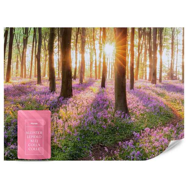 Muralo FOTOTAPETA Les Květiny Východ Slunce Krajina 3D 450x315