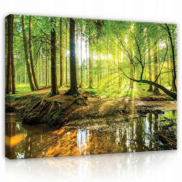 Obraz Do Ložnice Předsíně Les Příroda Na Plátně Stěna Velký XXL 120x80