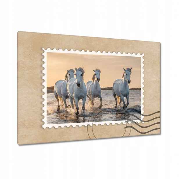 Obrazy 120x80 Divocí koně Wild Horses