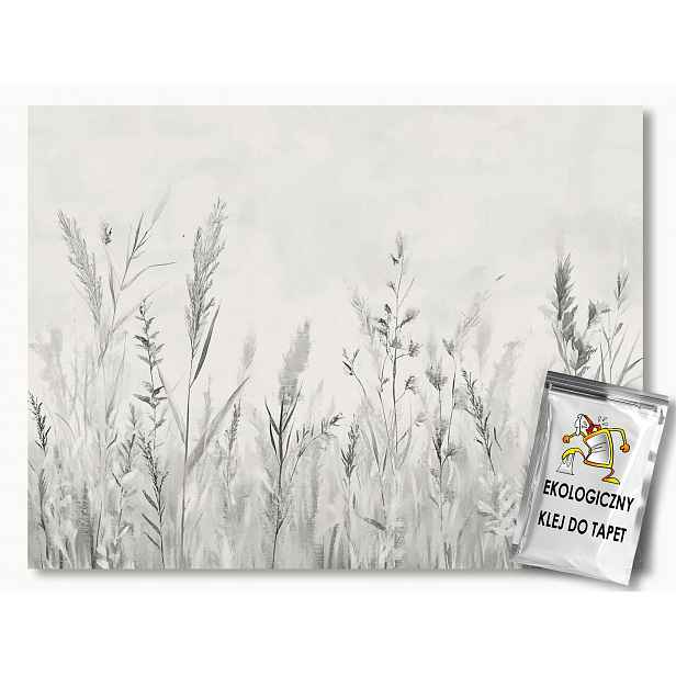 Fototapeta Flizelina Příroda Rostliny Louka Trávy Scandi Boho 312x219 130g