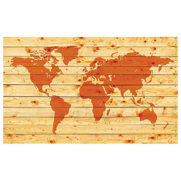 Fototapeta Mapa světa dřevo oranžová vinylová 254x184 lepidlo