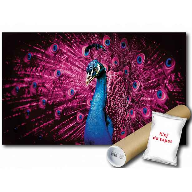 Fototapeta Paw Pawi Ogon 12C F2XL 312x219 F632