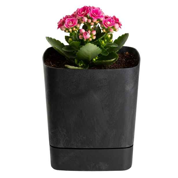 HowHomely Plastový květináč s podmiskou Cubi 16x16 cm černý beton