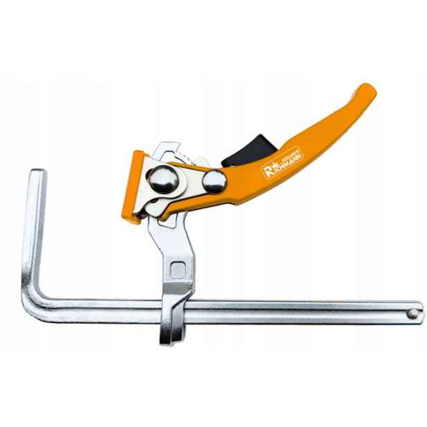 Páková svorka pro kolejnici 300x60 mm Richmann C2032