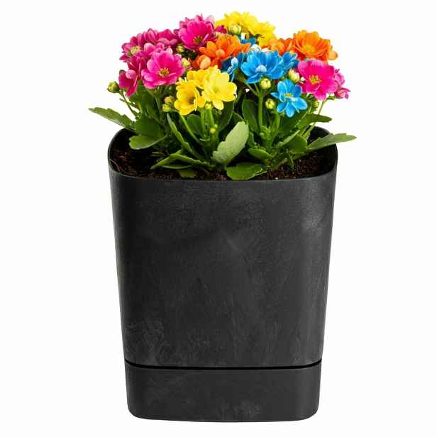 HowHomely Plastový květináč s podmiskou Cubi 19x19 cm černý beton
