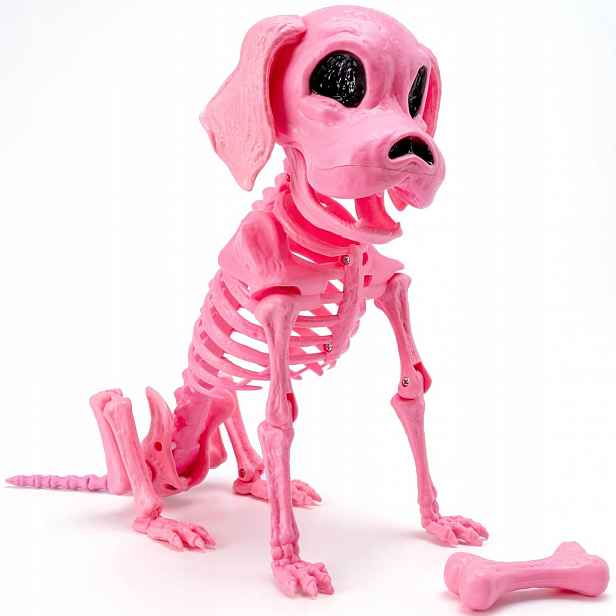 Růžová Kostra Psa Na Halloween 32 CM – Figurka S Pohyblivými Končetinami