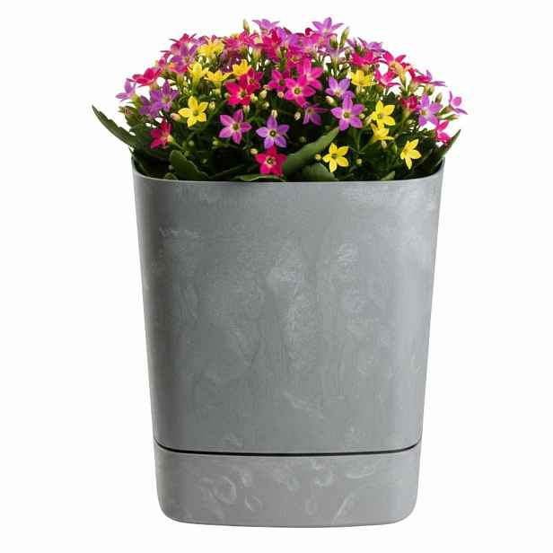 HowHomely Plastový květináč s podmiskou Cubi 19x19 cm šedý beton