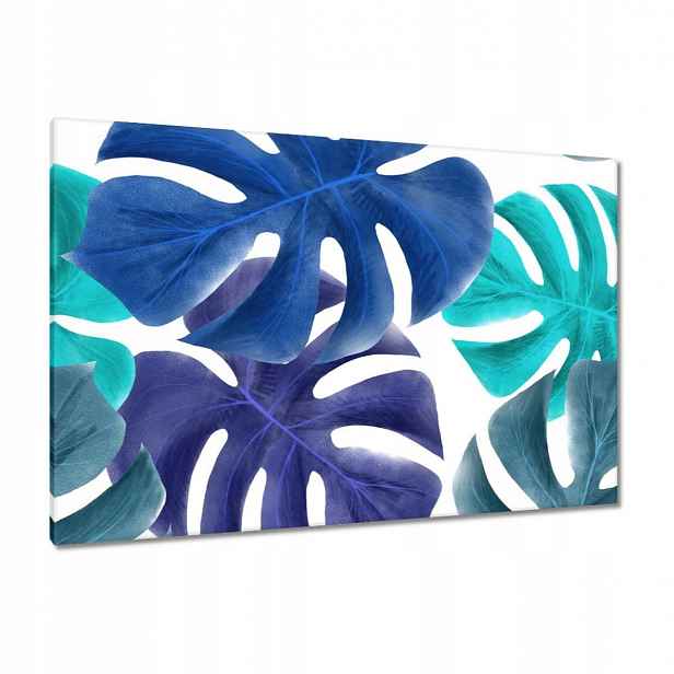 Obrazy 120x80 Monstera Listy Modrá