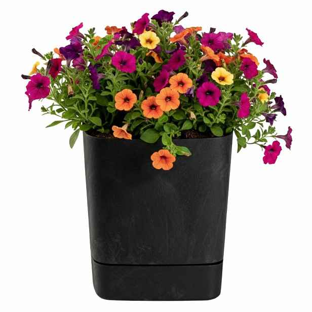 HowHomely Plastový květináč s podmiskou Cubi 30x30 cm černý beton