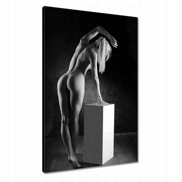 Obrazy 60x90 Žena Akt Černobílý