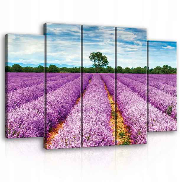 Obraz 150x100 Pole levandule Provence krajina příroda květiny fialové léto