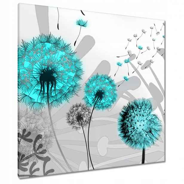 Obrazy 90x90 Tyrkysové pampelišky
