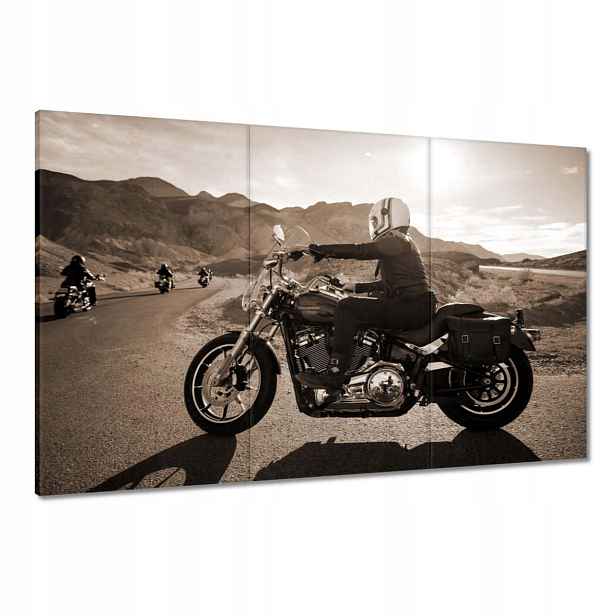 Obrazy 120x80 Harley Davidson Motocykl