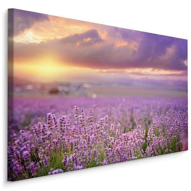 Plátno Krásná Levandulová Krajina 3D I. Varianta: 90x60