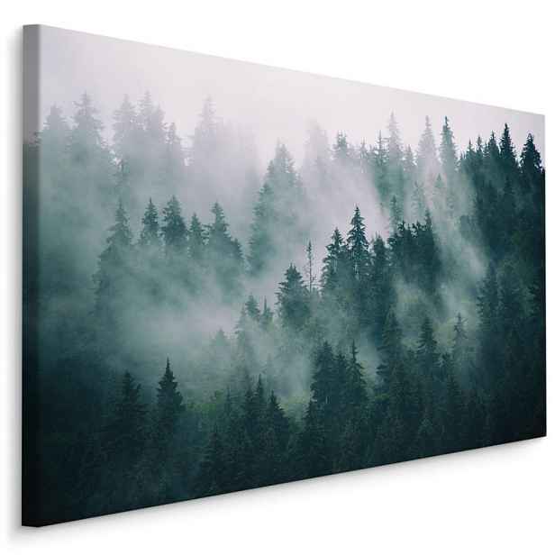 Muralo OBRAZ NA PLÁTNĚ Les v Mlze Příroda Krajina 3D 40x30