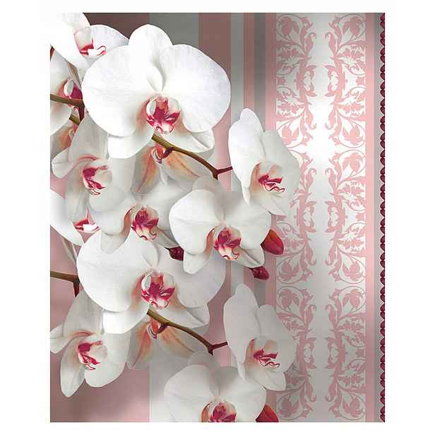 Fototapeta Orchideje bílo-růžové květy moderní vzor 206x275 lepidlo