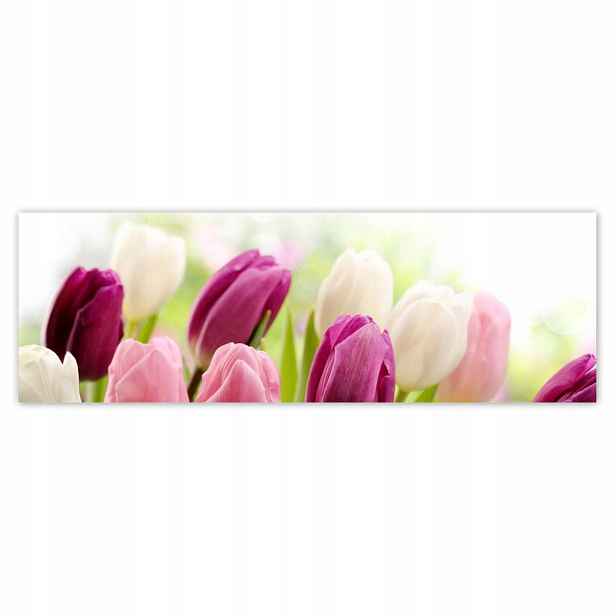Plakáty 200x66 Krásné tulipány