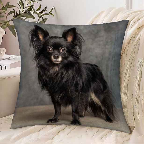 TEMU 1ks 2D Tištěný Dekorativní Polštář 18x18in/45x45cm - Realistický Černý Dlouhosrstý Čivava Polštář, Měkký Plyšový Dekor pro Milovníky Domácích
