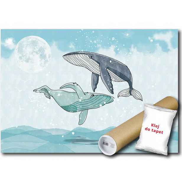 Vinylová fototapeta Velryba Keporkak Voda 152x104