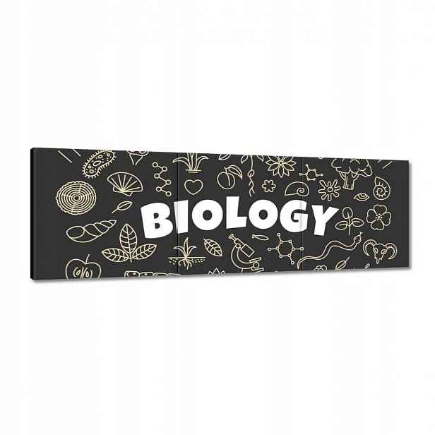 Obrazy 120x40 Motiv pro biologickou třídu